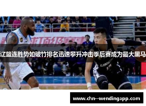 辽篮连胜势如破竹排名迅速攀升冲击季后赛成为最大黑马 辽篮连胜势如破竹排名迅速攀升冲击季后赛成为最大黑马