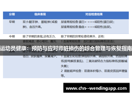 运动员健康:预防与应对肾脏损伤的综合管理与恢复指南 运动员健康:预防与应对肾脏损伤的综合管理与恢复指南
