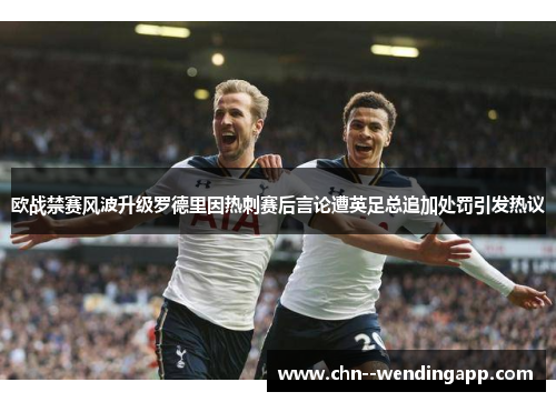 欧战禁赛风波升级罗德里因热刺赛后言论遭英足总追加处罚引发热议