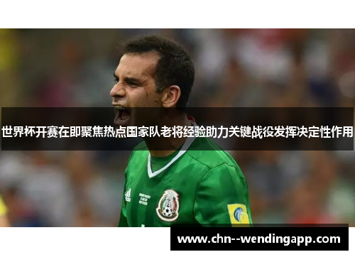 世界杯开赛在即聚焦热点国家队老将经验助力关键战役发挥决定性作用