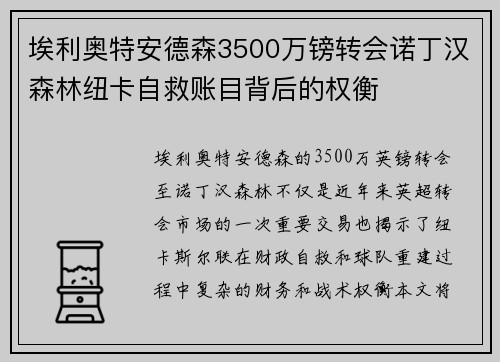 埃利奥特安德森3500万镑转会诺丁汉森林纽卡自救账目背后的权衡
