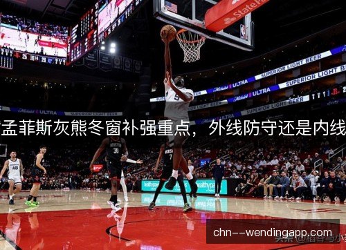 孟菲斯灰熊冬窗补强重点，外线防守还是内线